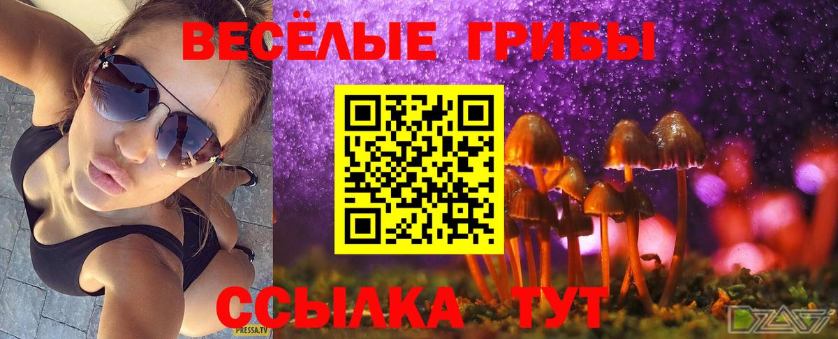 наркотики  Галлюциногенные грибы мицелий  Вход с VPN  Галлюциногенные грибы ЛСД  Старая Русса 